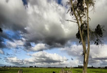 USRB5517K-215-C軸承參數,SEALMASTER軸承USRB5517K-215-C重量