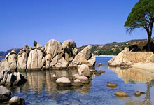 M67217EAHX軸承參數,REXNORD軸承M67217EAHX重量